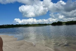 Zanzibar: Mangrovemetsän ekokajakkimelontaretki