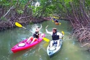 Zanzibar: Mangrove Forest Kayaking Tour & Paje Beach Visit