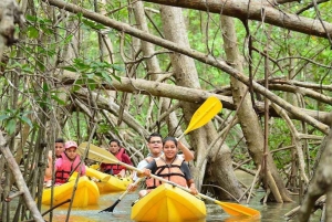 Sansibar: Mangrovemetsän kajakkiretki ja vierailu Paje-rannalla