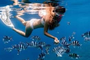 Sansibar: Mangrovemetsän kajakkiretki ja vierailu Paje-rannalla