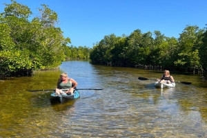 Zanzíbar: tour en kayak por manglares con snorkel y guía