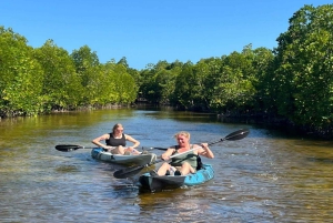 Zanzíbar: tour en kayak por manglares con snorkel y guía