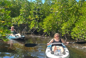 Zanzíbar: tour en kayak por manglares con snorkel y guía