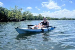 Zanzíbar: tour en kayak por manglares con snorkel y guía