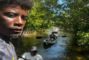 Zanzíbar: tour en kayak por manglares con snorkel y guía