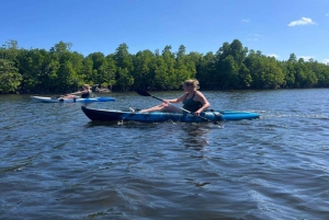 Zanzíbar: tour en kayak por manglares con snorkel y guía
