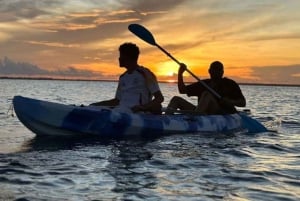 Delfines y tortugas marinas en Mnemba con almuerzo en The Rock