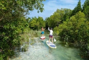 Delfines y tortugas marinas en Mnemba con almuerzo en The Rock