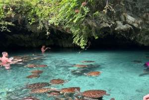 ZANZÍBAR: Kayak por manglares y tortugas en la cueva de Salaam