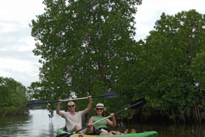ZANZÍBAR: Kayak por manglares y tortugas en la cueva de Salaam