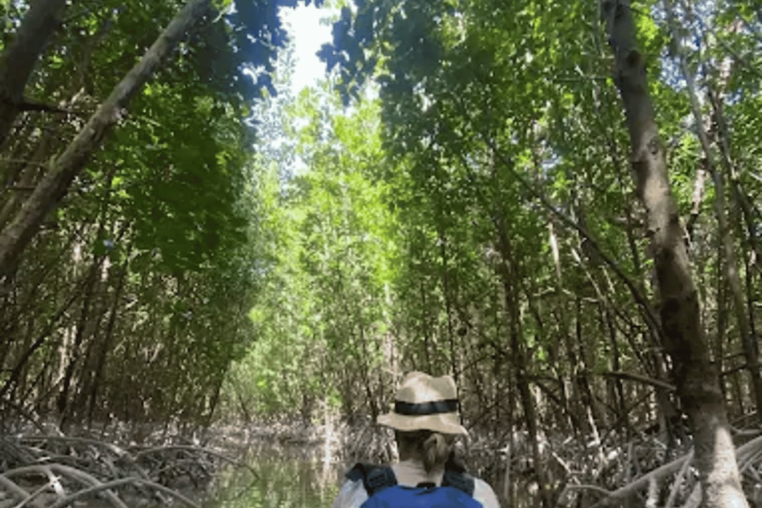 Zanzibar: Kajakpaddling i mangroven och bytur med frukt