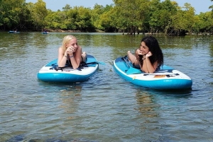 ザンジバル：マングローブでカヤック＆村訪問ツアー（フルーツ付き）