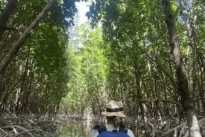 ザンジバル：マングローブでカヤック＆村訪問ツアー（フルーツ付き）