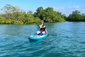 ザンジバル：マングローブでカヤック＆村訪問ツアー（フルーツ付き）