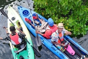 Zanzibar: Kajakpaddling i mangroven och bytur med frukt
