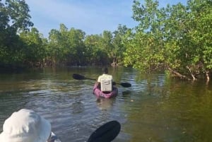 Zanzibar: Kajakpaddling i mangroven och bytur med frukt