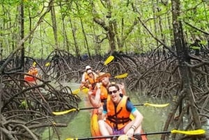 ZANZIBAR: Mangrove Kayaking Tour with Lunch