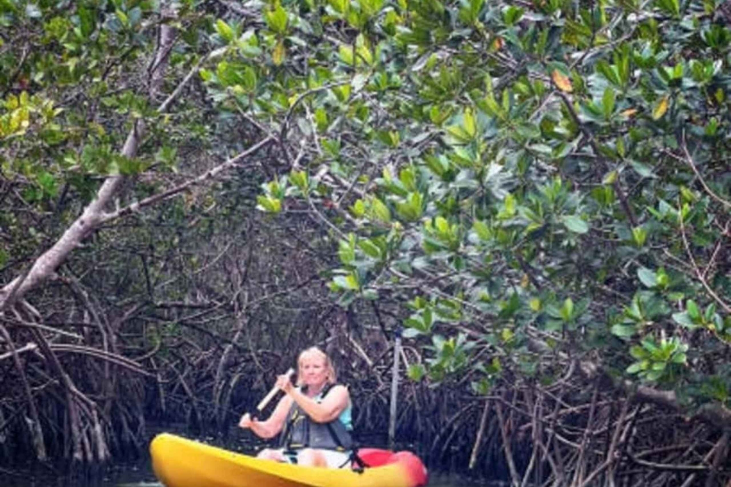 Zanzibar: kajakken in de mangrove, dorp en lunch met tropisch fruit