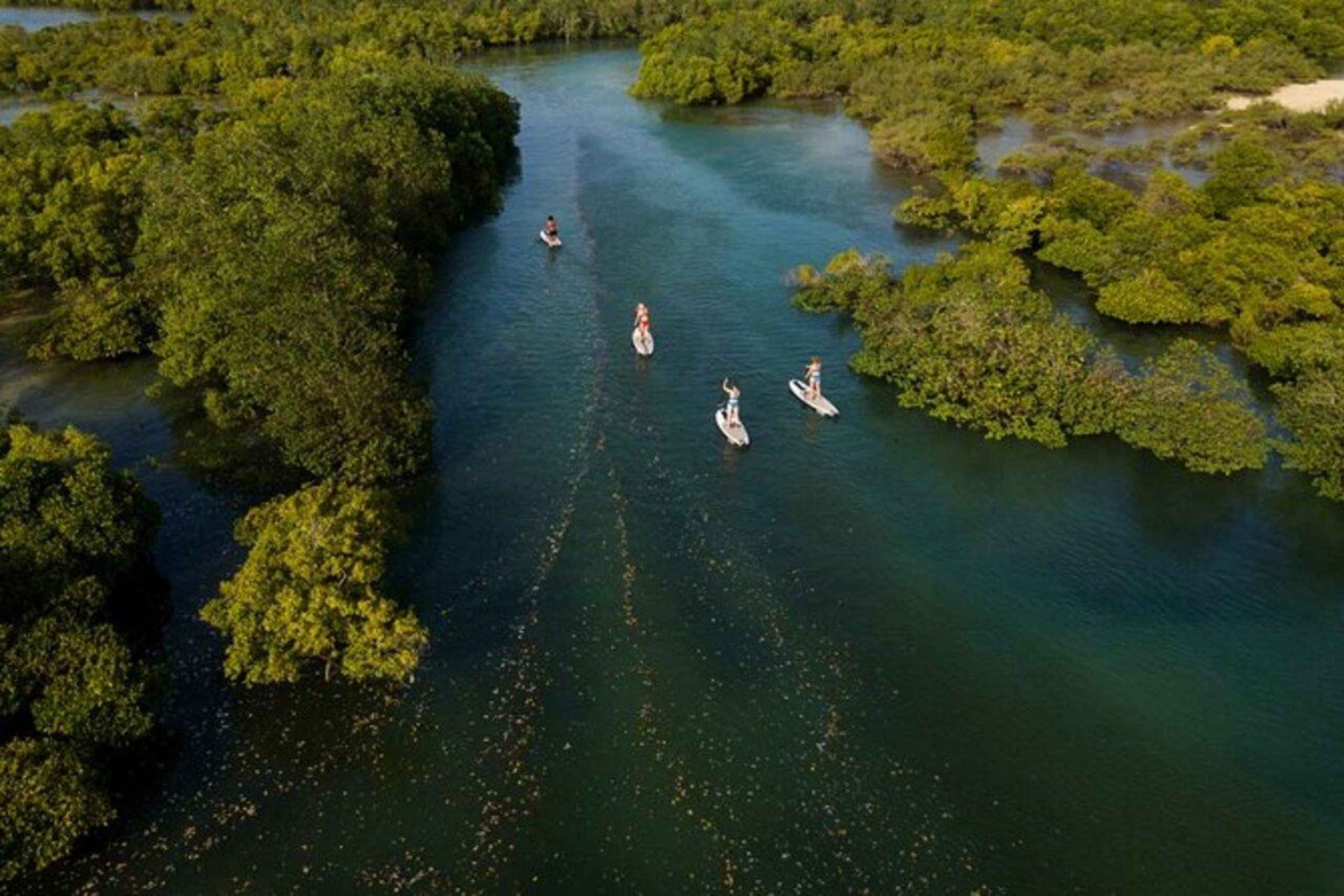 Zanzibar: kajakken in de mangrove, dorp en lunch met tropisch fruit