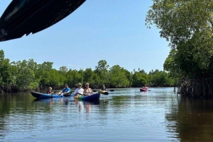 Zanzibar: kajakken in de mangrove, dorp en lunch met tropisch fruit