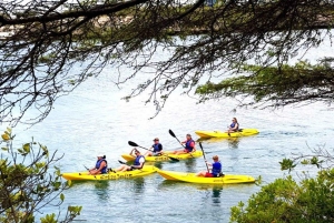Zanzibar: kajakken in de mangrove, dorp en lunch met tropisch fruit