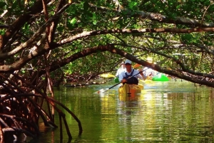 Zanzibar: kajakken in de mangrove, dorp en lunch met tropisch fruit