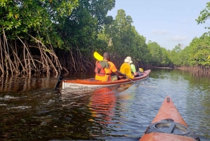 Zanzibar: kajakken in de mangrove, dorp en lunch met tropisch fruit