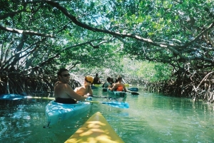 Zanzibar: kajakken in de mangrove, dorp en lunch met tropisch fruit