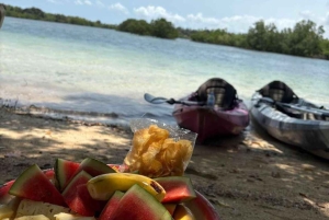 Zanzibar: kajakken in de mangrove, dorp en lunch met tropisch fruit