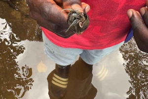 Zanzibar: kajakken in de mangrove, dorp en lunch met tropisch fruit