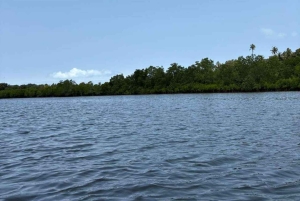 Zanzibar: kajakken in de mangrove, dorp en lunch met tropisch fruit