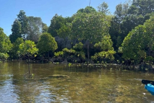 Zanzibar: kajakken in de mangrove, dorp en lunch met tropisch fruit