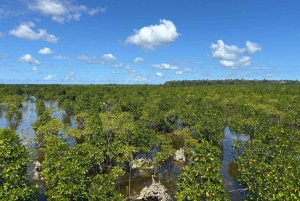 Zanzibar: kajakken in de mangrove, dorp en lunch met tropisch fruit