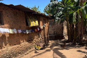 Zanzibar: kajakken in de mangrove, dorp en lunch met tropisch fruit