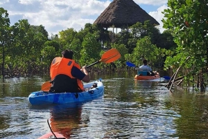 Zanzibar: kajakken in de mangrove, dorp en lunch met tropisch fruit