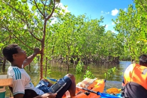 Zanzibar: kajakken in de mangrove, dorp en lunch met tropisch fruit