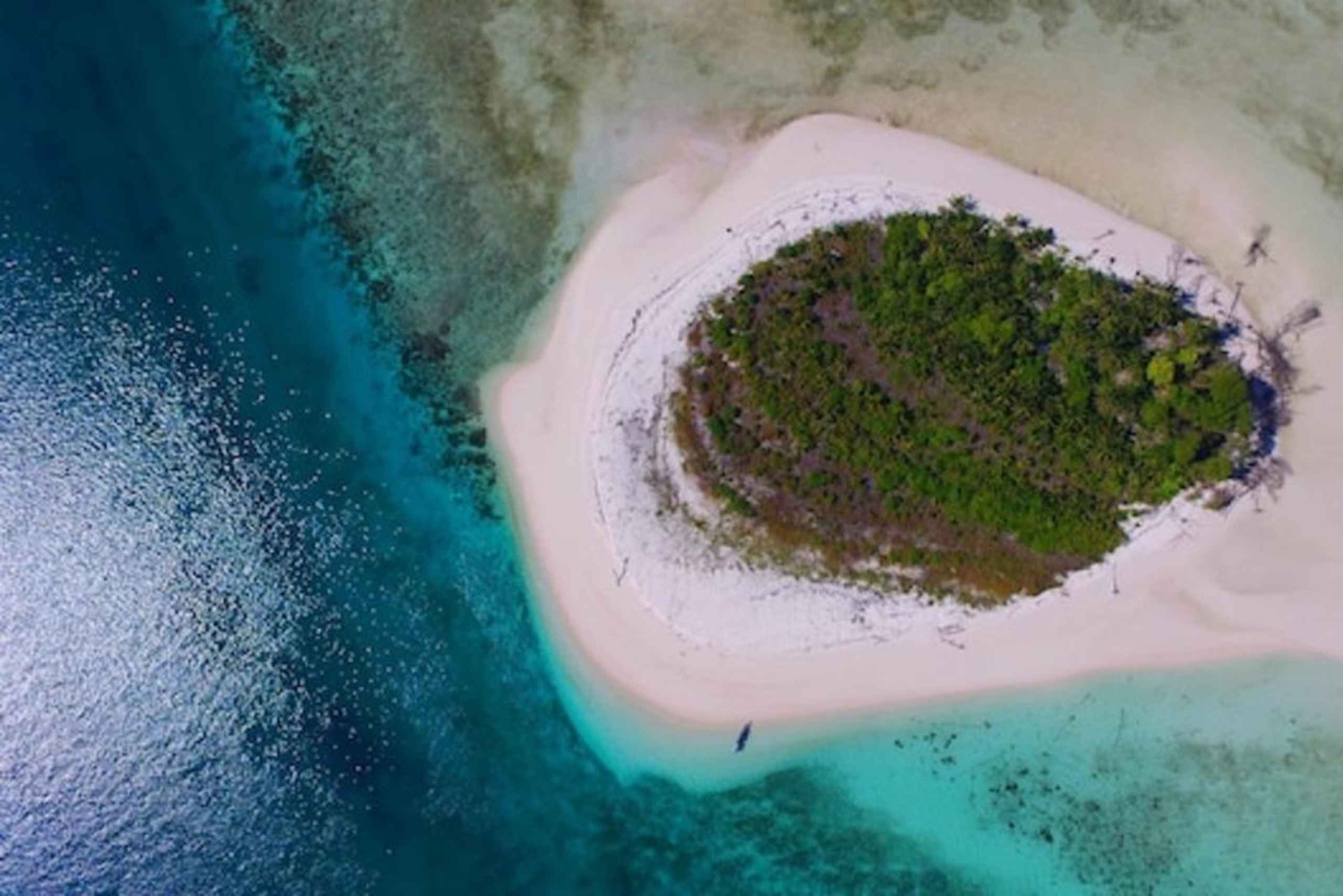 Zanzibar: tour con i delfini e snorkeling alla spiaggia di ZanziMaldives