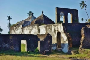 Zanzibar: Mnemba Dolphin-tur på Afrikas Maldiverna