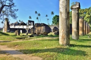 Zanzibar: Mnemba Dolphin-tur på Afrikas Maldiverna