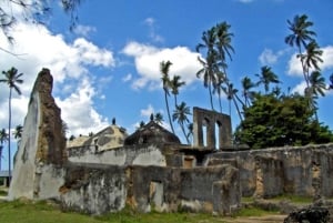 Zanzibar: Mnemba Dolphin-tur på Afrikas Maldiverna