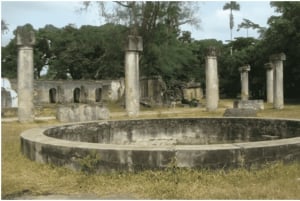 Zanzibar: Mnemba Dolphin-tur på Afrikas Maldiverna