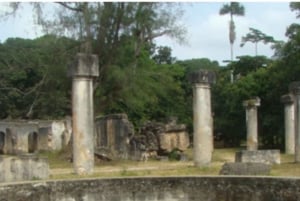 Sansibar: Gefängnisinsel, Jozani-Wald und Mtende-Strand-Tour