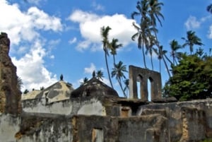 Sansibar: Gefängnisinsel, Jozani-Wald und Mtende-Strand-Tour