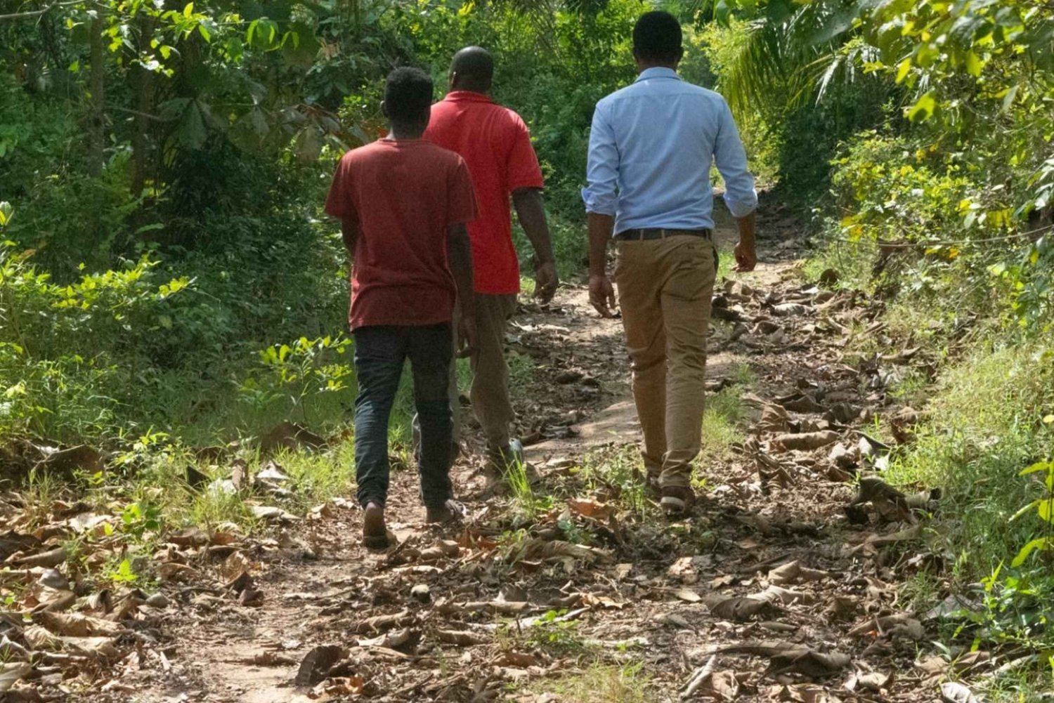 Zanzibar: Fengselsøya, besøk på krydderfarm og svømming med skilpadder