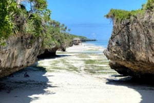 Zanzibar: Fengselsøya, besøk på krydderfarm og svømming med skilpadder
