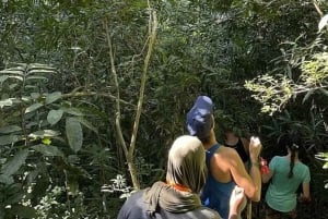 Zanzibar: Tur til krydderfarm og guidet vandring i Stone Town