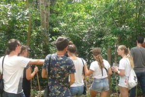 Zanzibar: Tur til krydderfarm og guidet vandring i Stone Town