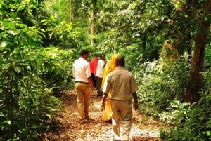 Zanzibar: Tur til krydderfarm og guidet vandring i Stone Town