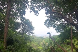 Zanzibar: Tur til krydderfarm og guidet vandring i Stone Town