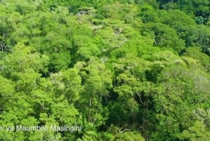 Zanzibar: Tur til krydderfarm og guidet vandring i Stone Town